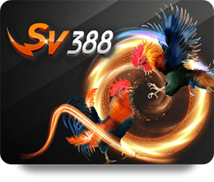 Top BK8 Game Bài Hot Tips for New Players